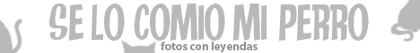 publicidad