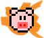 Oink!