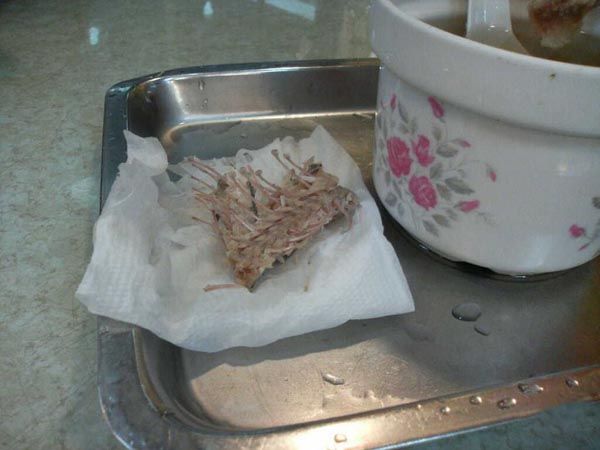 SOPA DE SERPIENTE