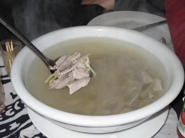 SOPA DE SERPIENTE