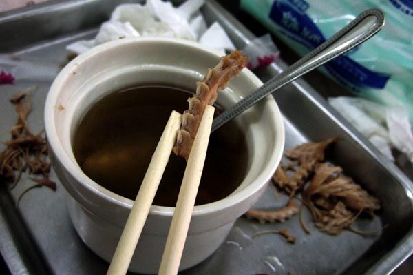SOPA DE SERPIENTE