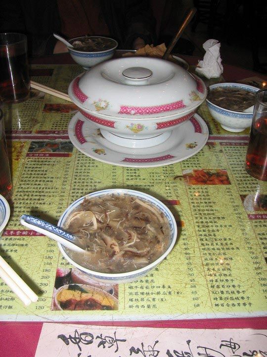 SOPA DE SERPIENTE