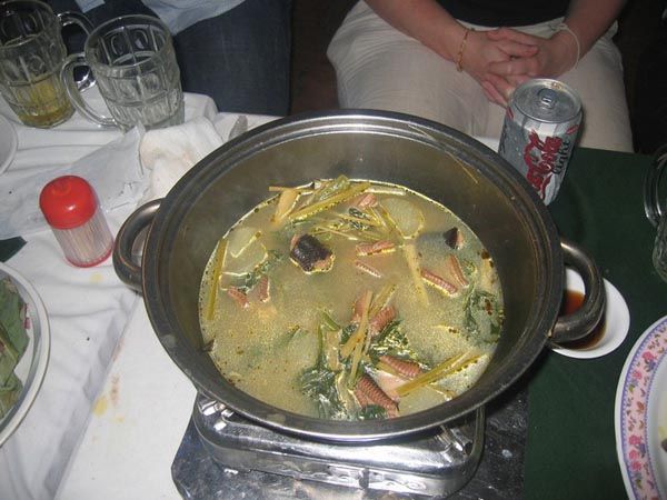 SOPA DE SERPIENTE