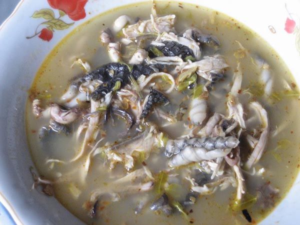 SOPA DE SERPIENTE
