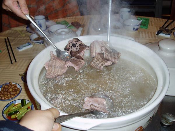 SOPA DE SERPIENTE